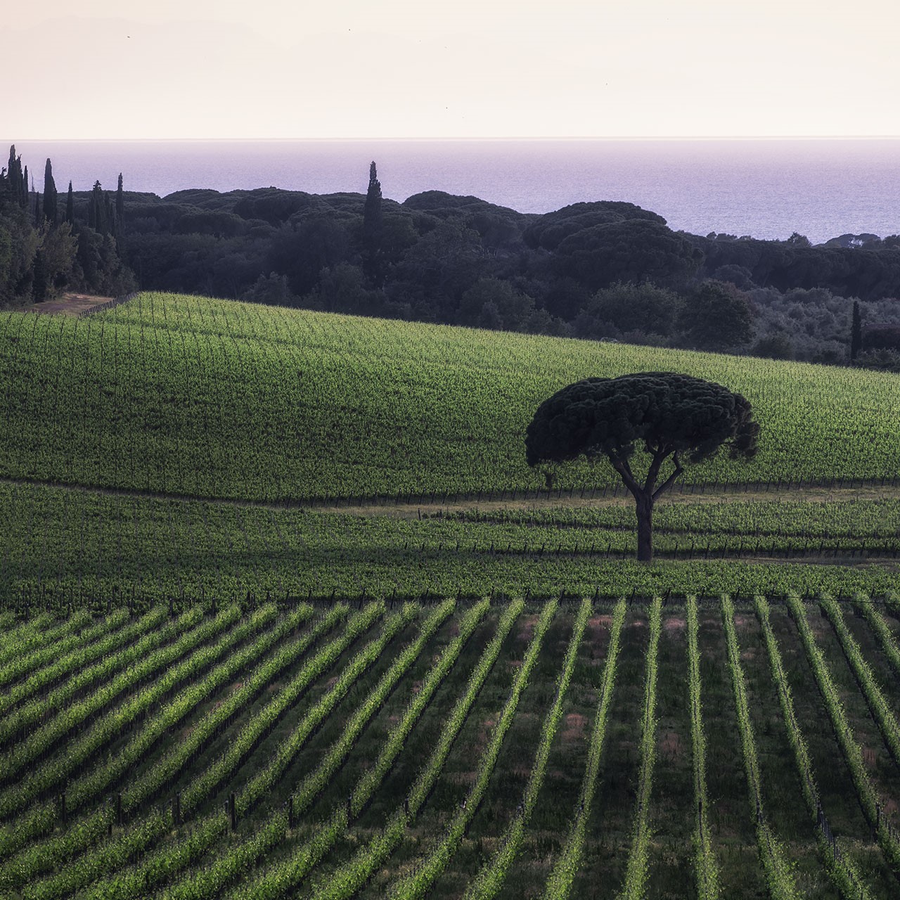 Soirée Italienne au Château de Bonmont